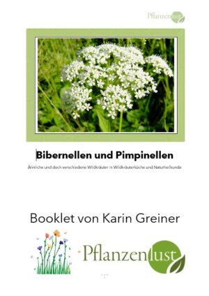 Bibernellen und Pimpinellen Booklet