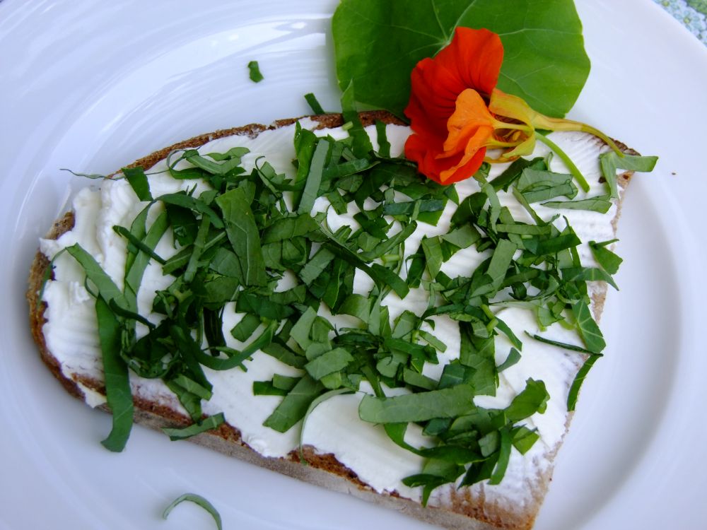 Butterbrot mit Kapuzinerkresseblättern