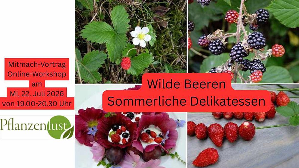 Tüb 2026 Beeren